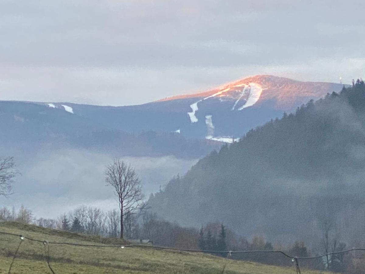 Domki Pod Lasem - Domek Brzozowy Stronie Śląskie Zewnętrze zdjęcie
